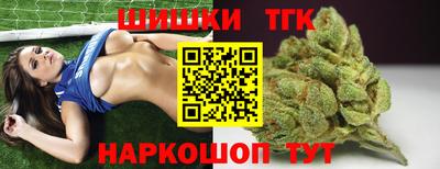 гашик Камышлов