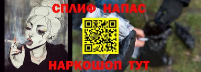 гашик Камышлов