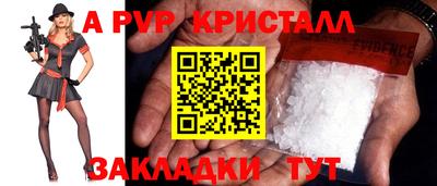 гашик Камышлов