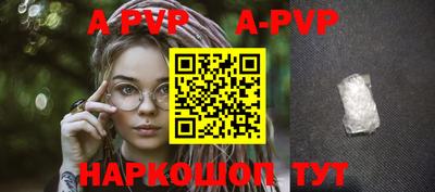 гашик Камышлов