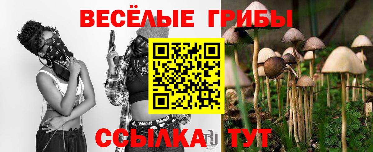 Лесозаводск  Псилоцибиновые грибы Psilocybe  Вход с VPN 